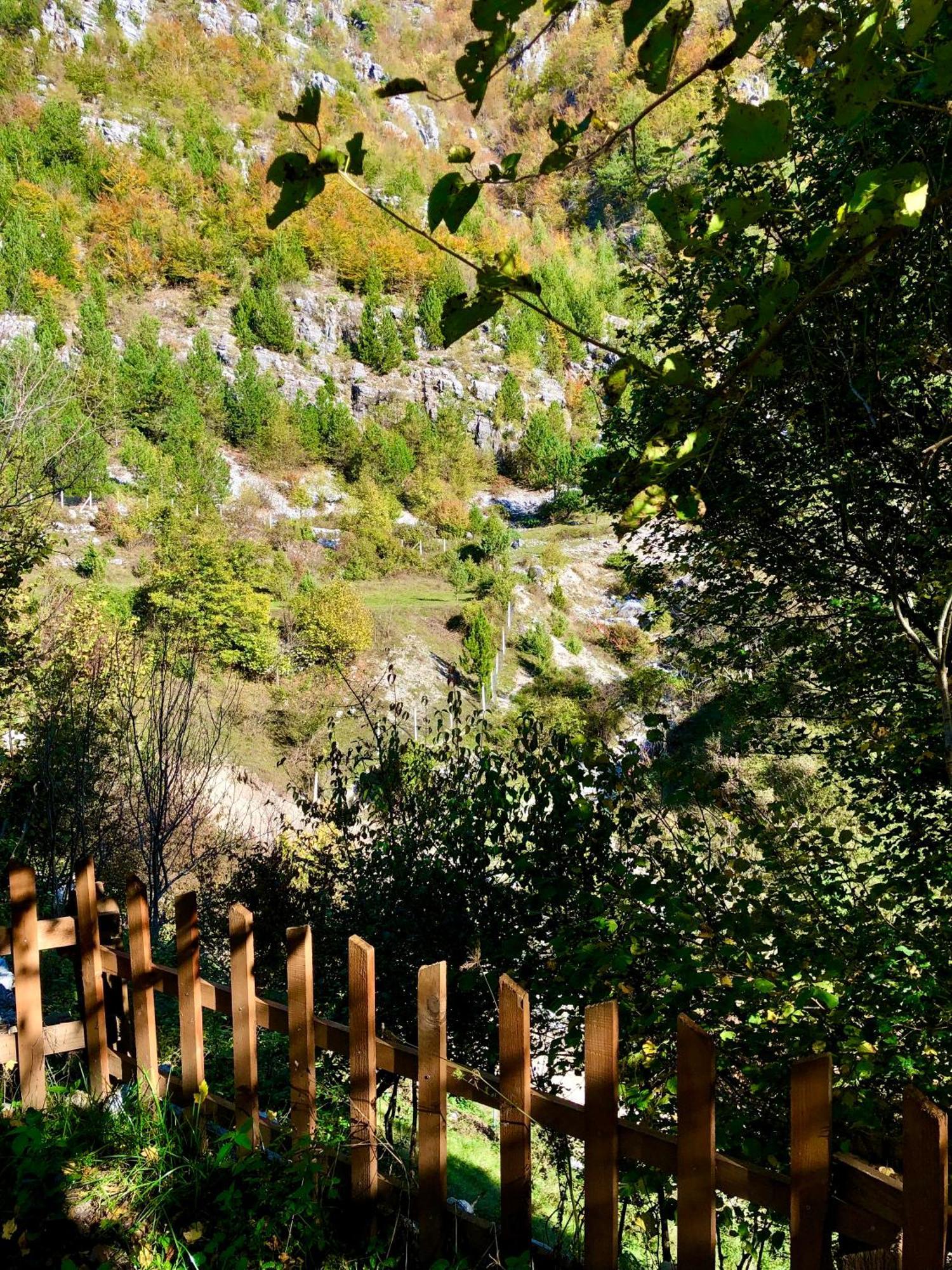 Bujtina Pllumi Theth Bed & Breakfast Bagian luar foto
